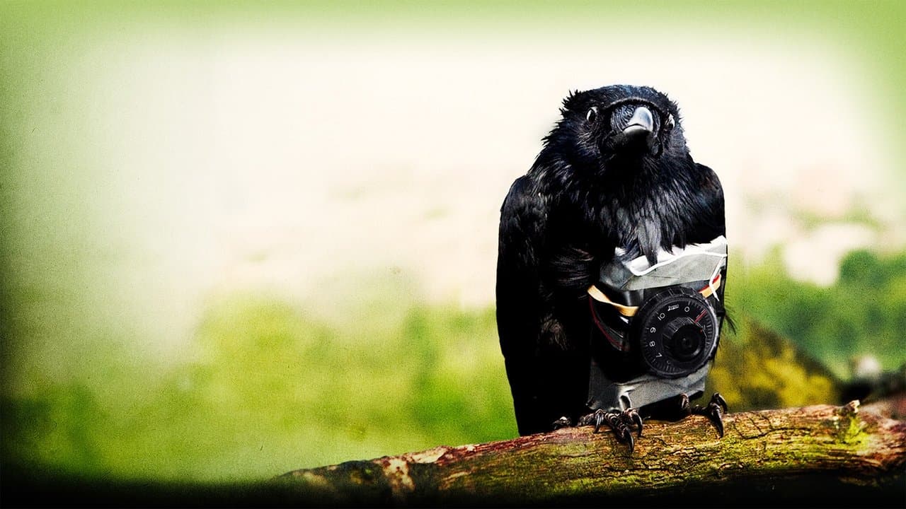 Four Lions (2010) — backdrop image