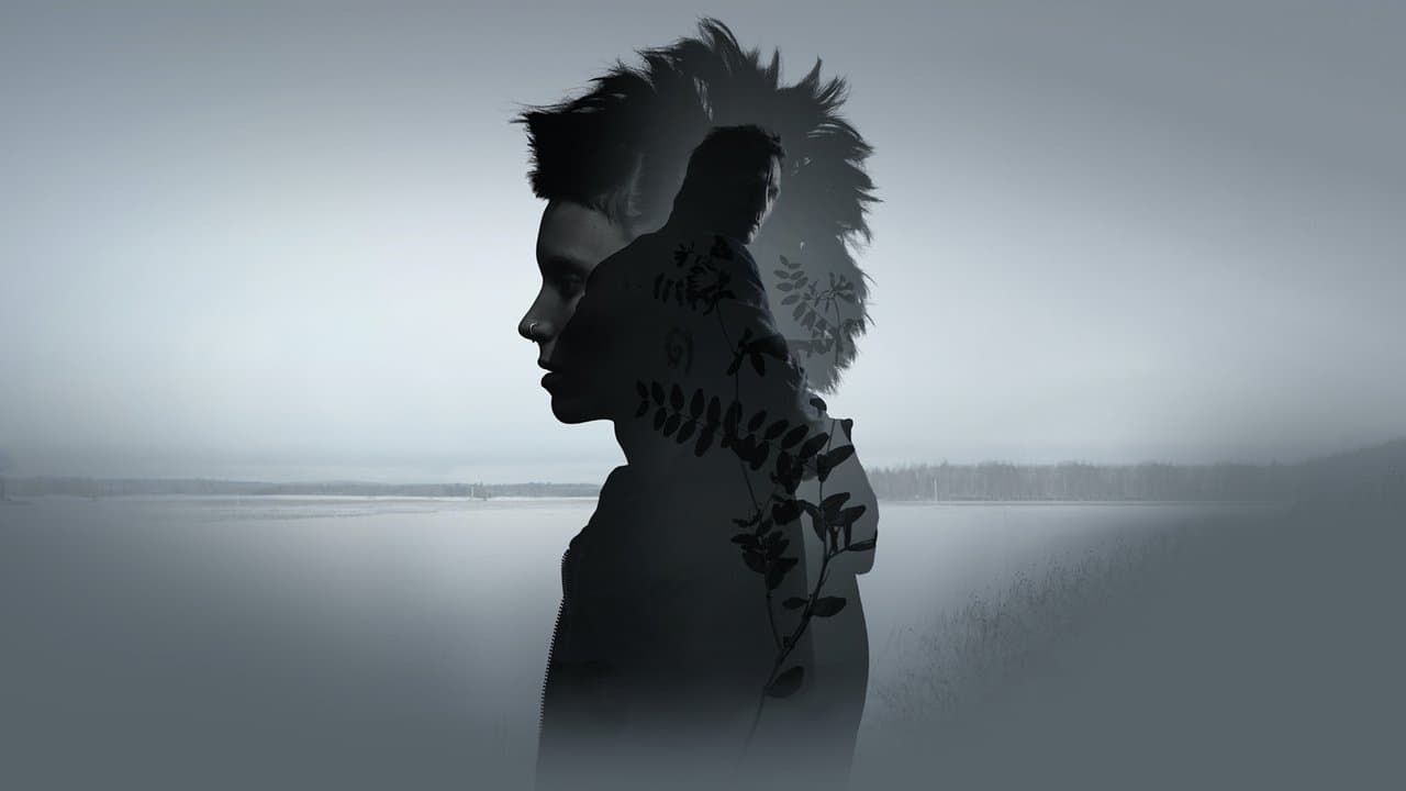 The Girl with the Dragon Tattoo (2011) — backdrop image